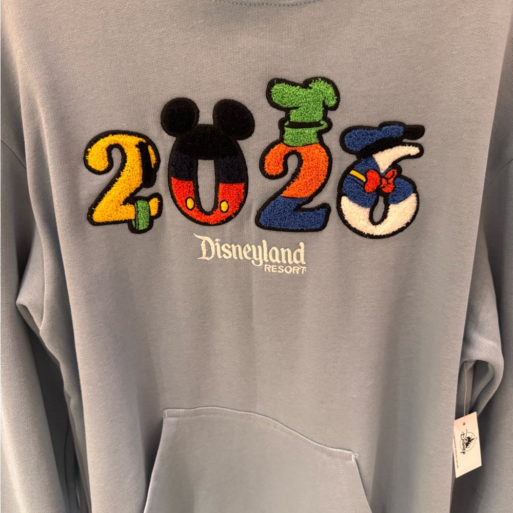 2026! Disneyland Resort Hoodie